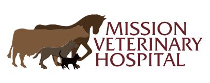 Mission vet - Here at MVES, we are lucky to have two board-certified internists - Dr. Ana Costa and Dr. Ellen Heinrich - helping pets with chronic, complex, or complicated conditions and illnesses. If your pet needs advanced care, our team is here to help. Please contact us, or call (913) 722-5566 to schedule an appointment for your pet today.